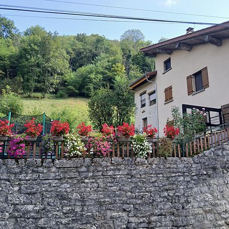 Gite Du Vieux Tonneau Cerdon  Екстер'єр фото